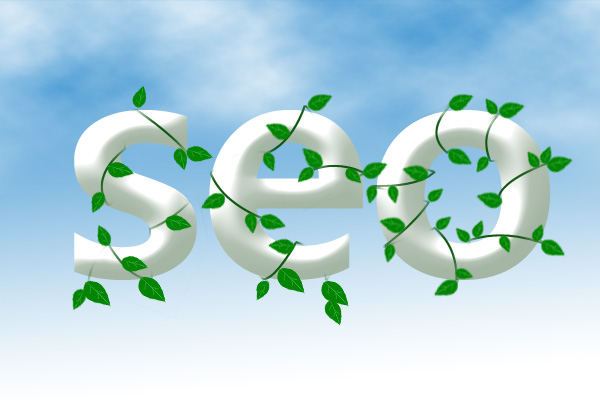 網(wǎng)站優(yōu)化如何進行一個完整的站內(nèi)優(yōu)化？