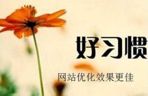 網(wǎng)站優(yōu)化時(shí)發(fā)現(xiàn)更新的文章不被搜索引擎收錄應(yīng)該怎么辦呢？